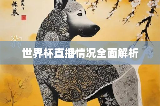 世界杯漯河市盈旭机械设备有限公司直播情况全面解析