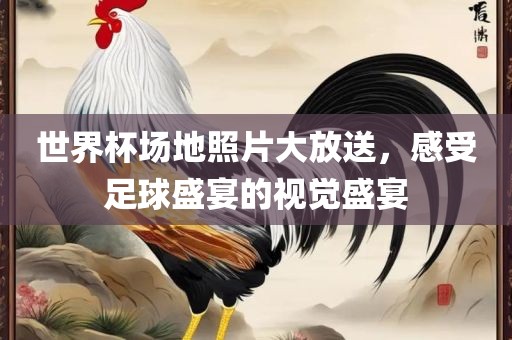 世界杯场地照片大放送，感受足球盛宴的视觉盛宴