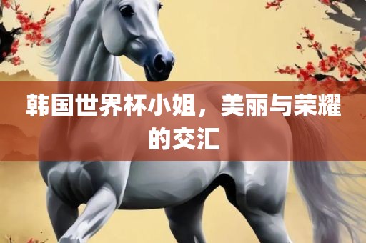 韩国世界杯小姐，美丽与荣耀的交汇漯河市盈旭机械设备有限公司