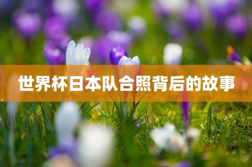 世界杯日本队合照背后的故事