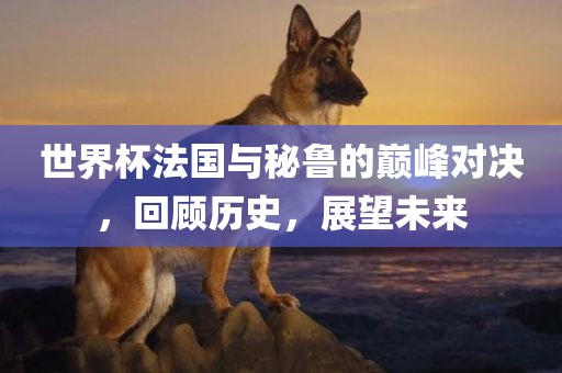 世界杯法国与秘鲁的巅峰对决，回顾历史，展望未来