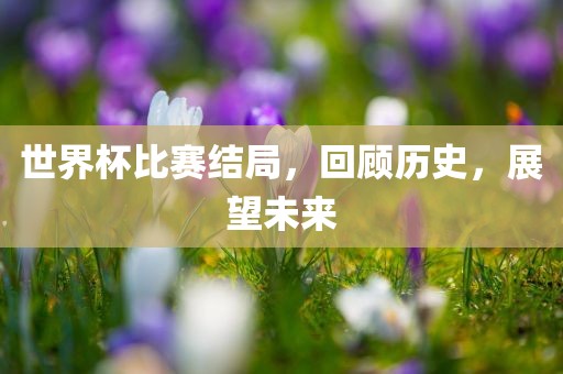 世界杯比赛结局，回顾历史，展望未来