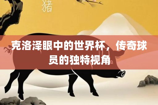 克洛泽眼中的世界杯，传奇球员的独特视角漯河市盈旭机械设备有限公司
