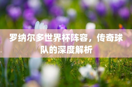 罗纳尔多世界杯阵容，传奇球队的深度解析