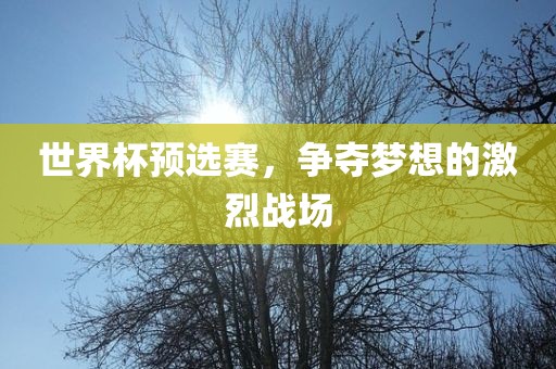 世界杯预选赛，争夺梦想的激烈战场