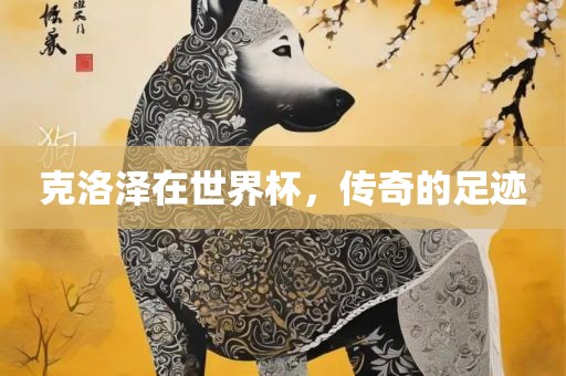 克洛泽在世界杯，传奇的足迹