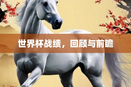世界杯战绩，回顾与前瞻