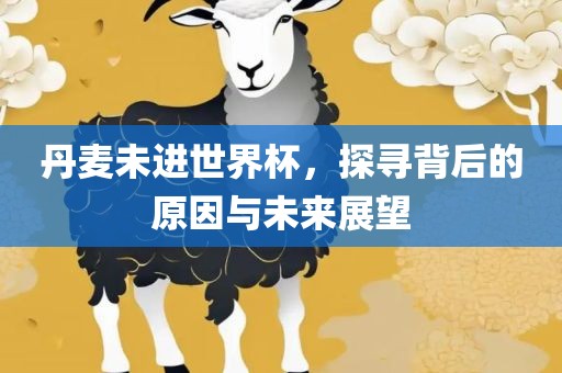 丹麦未进世界杯，探寻背后的原因与未来展望