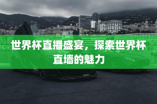 世界杯直播 第3页
