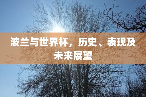 波兰与世界杯，历史、表现及未来展望