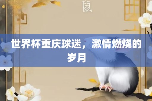 世界杯重庆球迷，激情燃烧的岁月