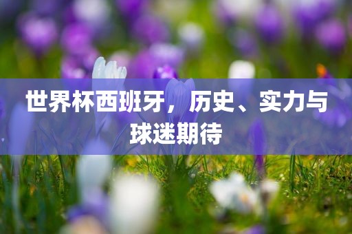 世界杯西班牙，历史、实力与球迷期待