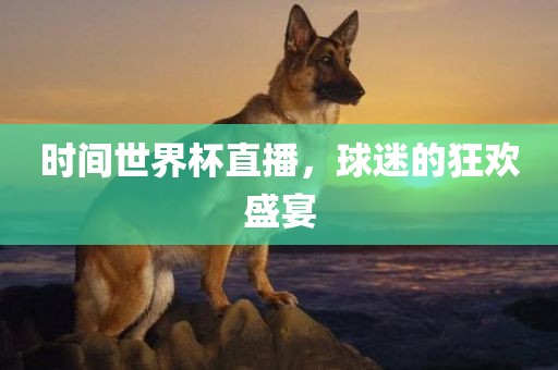 时间世界杯直播，球迷的狂欢盛宴
