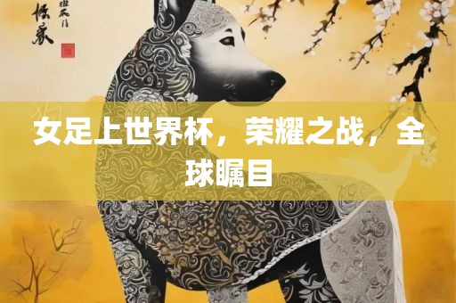 女足上世界杯，荣耀之战，全球瞩目