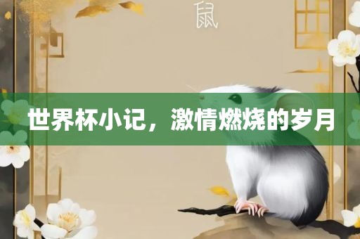 世界杯小记，激情燃烧的岁月漯河市盈旭机械设备有限公司