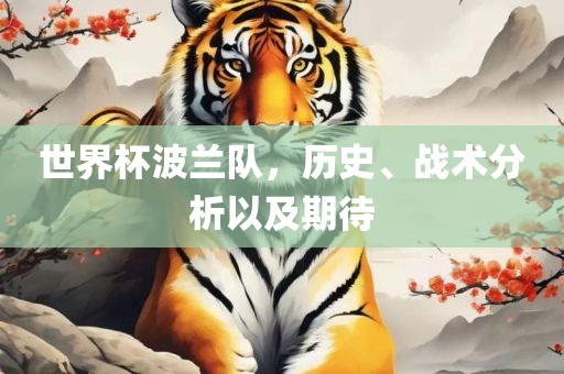 世界杯波兰队，历史、战术分析以及期待