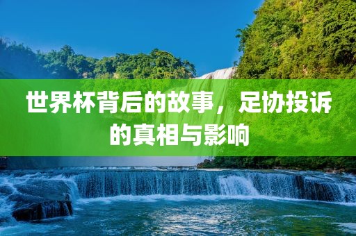 世界杯背后的故事，足协投诉的真相与影响