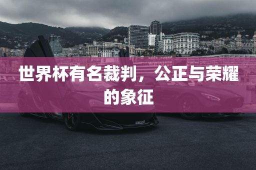 世界杯有名裁判，公正与荣耀的象征漯河市盈旭机械设备有限公司
