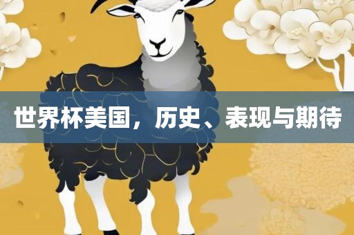 世界杯美国，历史、表现与期待
