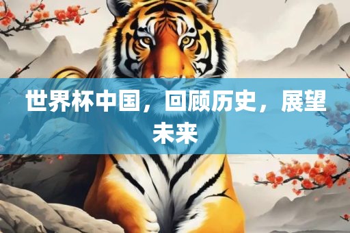 世界杯中国，回顾历史，展望未来